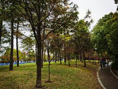 -美兰湖景区