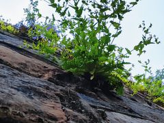 -狼山风景名胜区