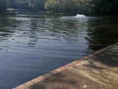-晓港公园
