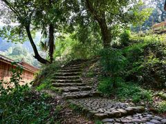 -杨家堂村