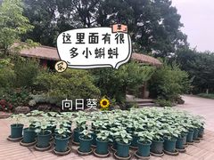 -南山植物园