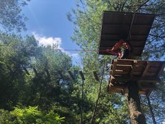 -梦幻奥陶纪景区