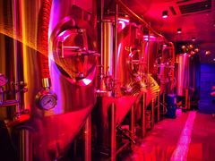 -Ambra Haus琥珀屋精酿餐厅(宝山店)