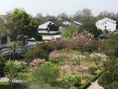 -苏州吴宫泛太平洋酒店