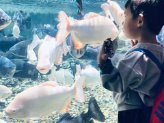 -成都浩海立方海洋公园