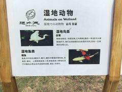 -桤木河湿地公园