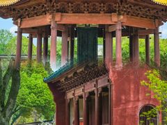 -观潮胜地公园