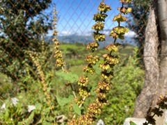 -丽江泸沽湖景区