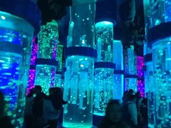 -石林冰雪海洋世界