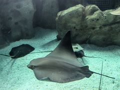 -珠海长隆海洋王国