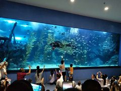 -聊城海底世界