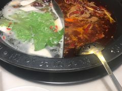 -孙毛肚火锅(春熙路店)