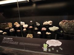 -正佳自然科学博物馆