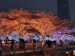 -西北湖绿化广场