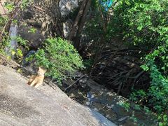 -鸿山公园