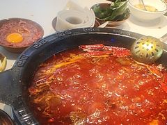 -卤校长老火锅(杨家坪直营店)
