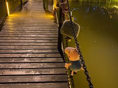 -成都中医药大学(温江校区)