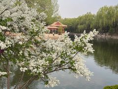 -近春园遗址
