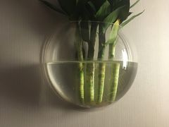 -弘善堂推拿调理