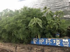 -泸沽湖里格半岛