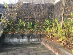 -燊海井