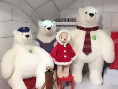 -济州岛泰迪熊博物馆