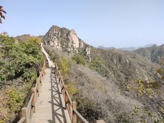 -大岭沟猕猴桃谷风景区