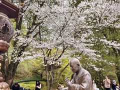 -庐山风景名胜区-东林大佛