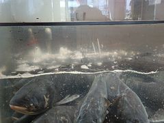 -上名堂·鱼头好吃(体育场路店)