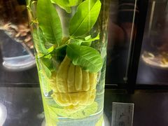 -广东中医药博物馆