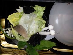 -王家渡火锅(金宝汇店)