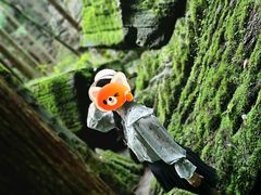 -梭布垭石林景区