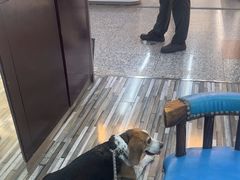 -三叶眼镜城批发市场(上海火车站店)