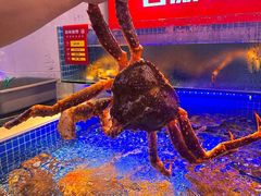 -驻海渔市(置信店)