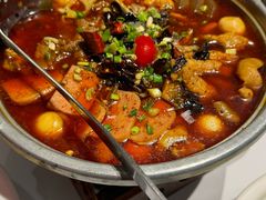 传统地道毛血旺-眉州东坡·熊猫主题餐厅(枫蓝店)