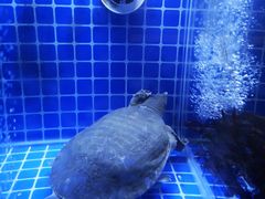 -江上江·精致淮扬菜