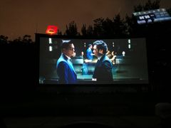 -枫花园汽车电影院(朝阳公园店)