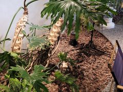 -J Create城市露营咖啡·简餐·宠物(上海动物园店)