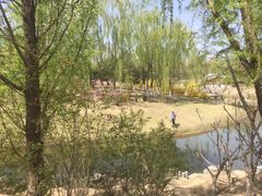 -大兴滨河森林公园