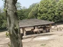 -杭州野生动物世界
