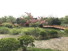 -尚贤河湿地