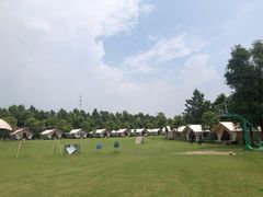 -上海海湾国家森林公园