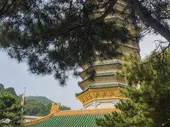 -八大处公园