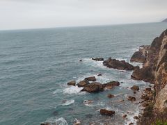 -杨梅坑