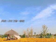 -径山花海