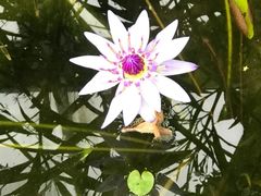 -北京植物园-展览温室