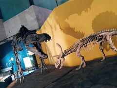 -湖南省地质博物馆