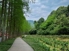-青城山
