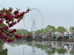 -无锡蠡湖国家湿地公园-蠡园