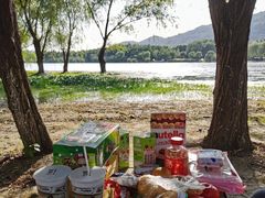 -长广溪湿地公园